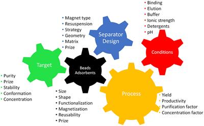 Magnetic Separation in Bioprocessing Beyond the Analytical Scale: From Biotechnology to the Food Industry